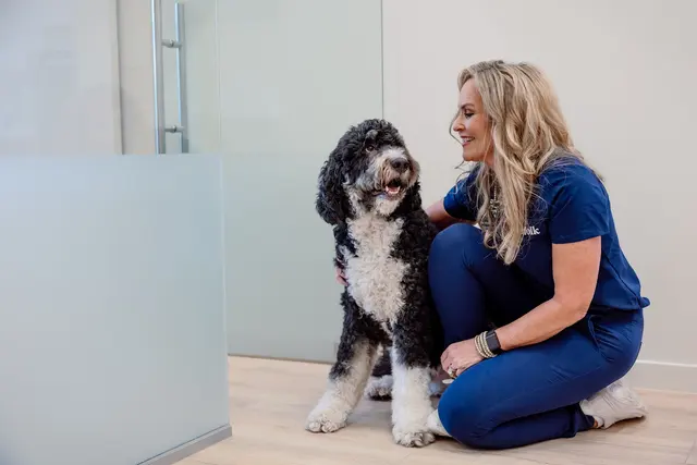 Petfolk Veterinary & Urgent Care - Concord — photo from the business 8