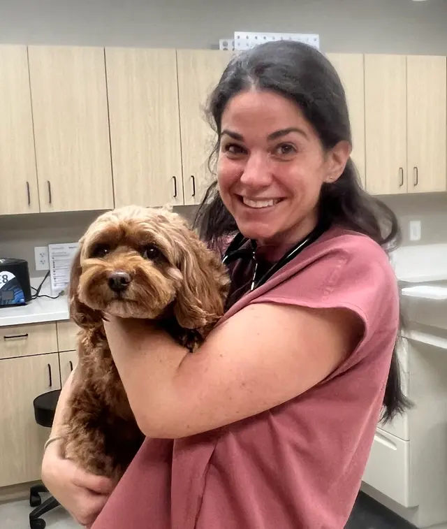 East Side Animal Hospital — photo from the business 3