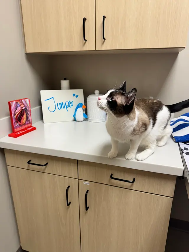 East Side Animal Hospital — customer photo 5