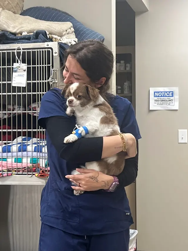 East Side Animal Hospital — photo from the business 11