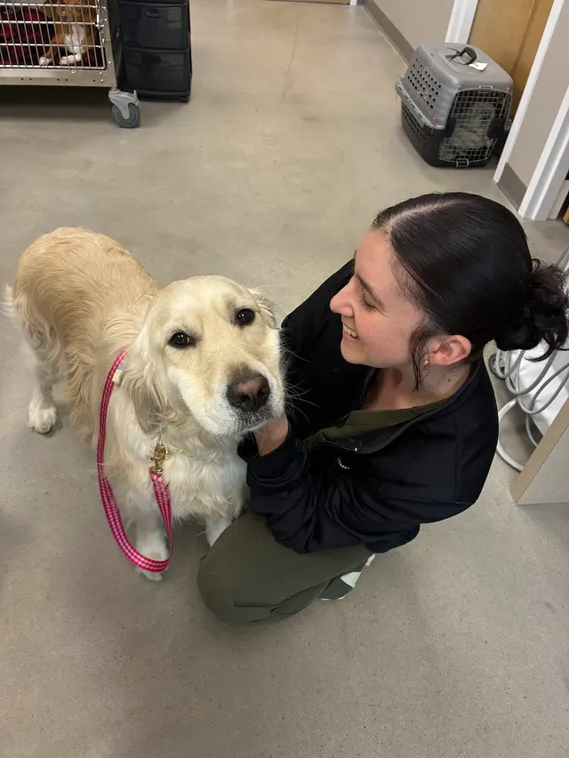 East Side Animal Hospital — photo from the business 2