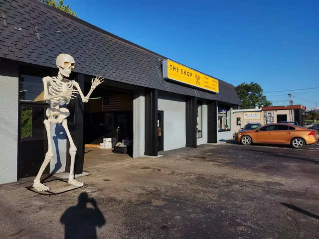 The Shop — photo from the business 12