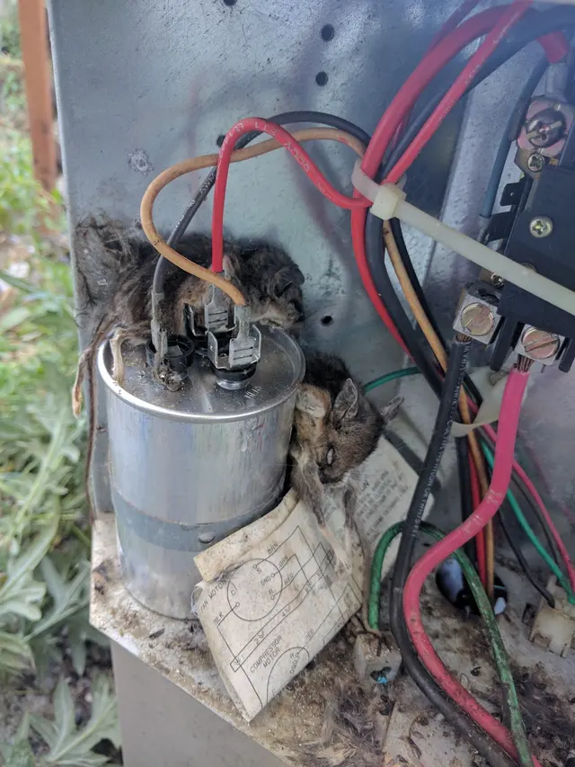 Hi-5 Appliance Repair — photo from the business 12
