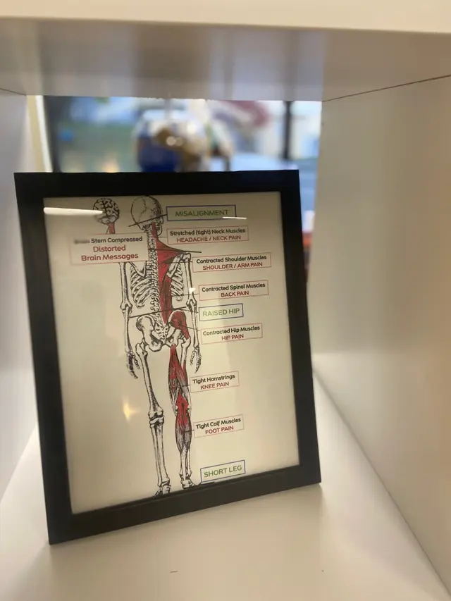 Sweeney Family Chiropractic — photo from the business 7