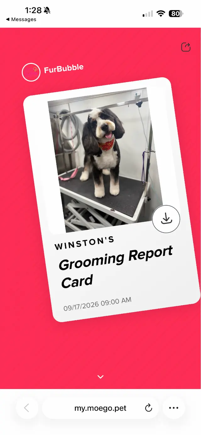 Customer photo of work by Furbubble Mobile Dog Grooming, from Hilary Ottaviano's review