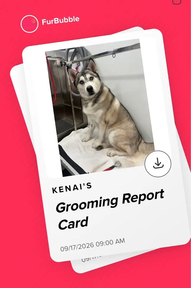 Customer photo of work by Furbubble Mobile Dog Grooming, from Hilary Ottaviano's review