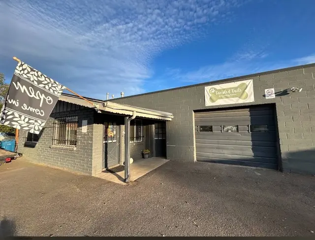 Tangled Tails Grooming Salon — photo from the business 4