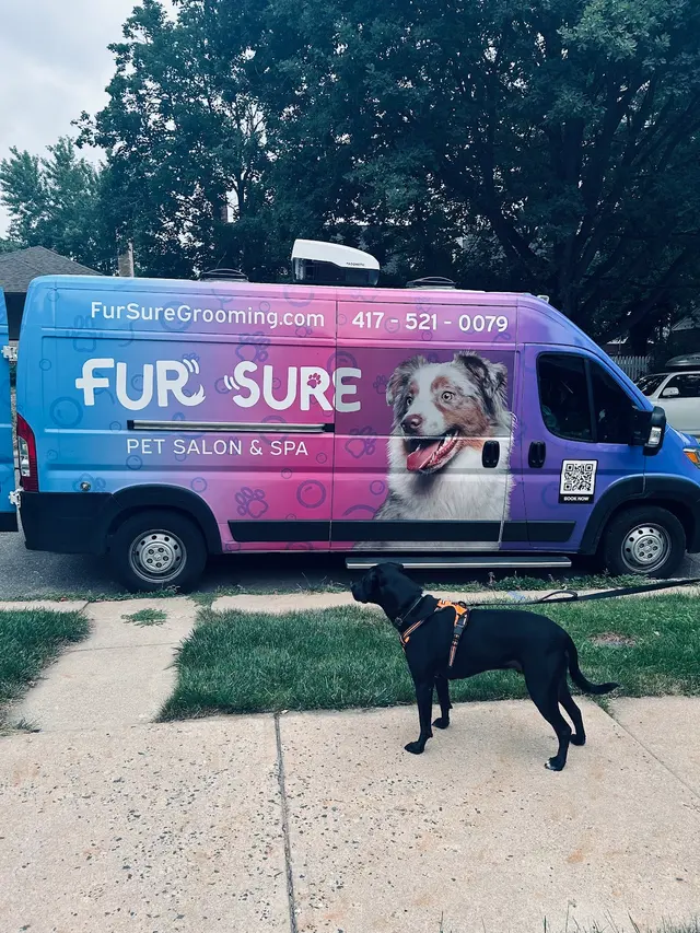 Fur Sure Grooming — customer photo 9