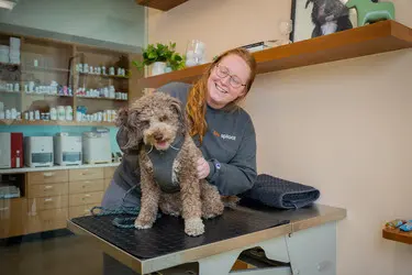 Sploot Veterinary Care - Platt Park — photo from the business 10