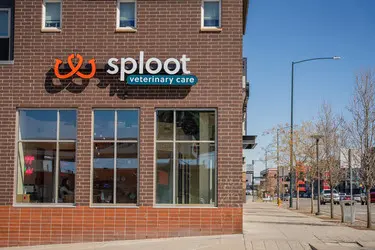 Sploot Veterinary Care - Platt Park — photo from the business 5