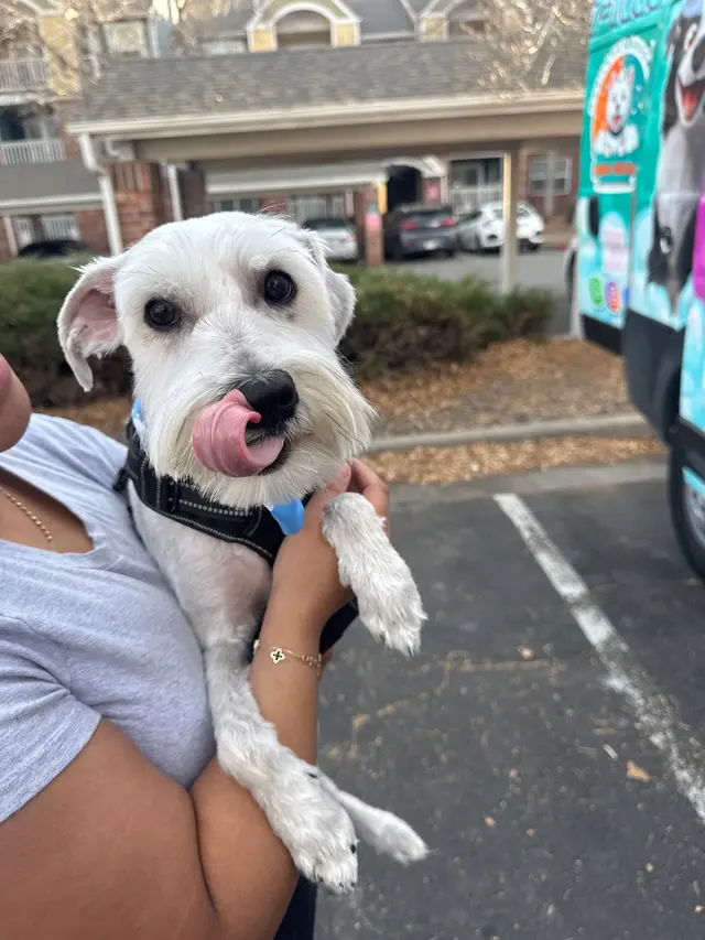 New Era Mobile Pet Grooming — customer photo 11