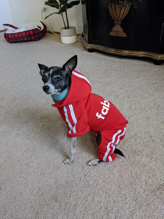 Wesco Grooming — customer photo 3