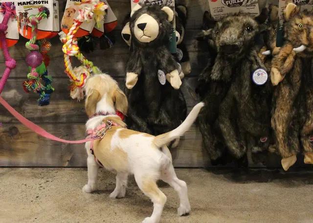 Chuck & Don's Pet Food & Supplies — photo from the business 4