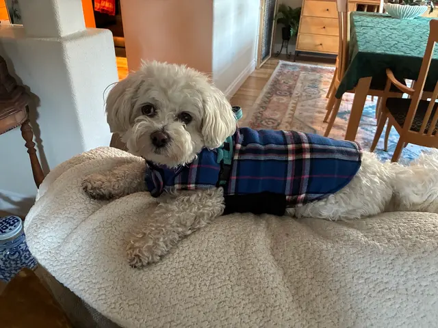 Chuck & Don's Pet Food & Supplies — customer photo 8