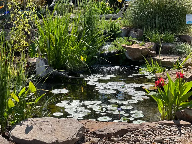 Oklahoma Ponds — photo from the business 1