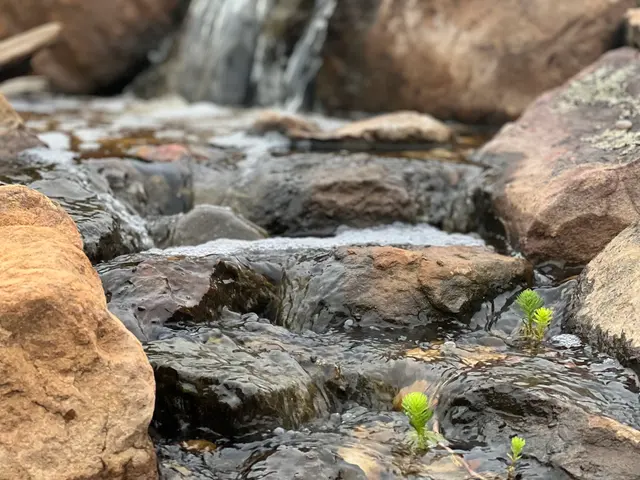 Oklahoma Ponds — photo from the business 12