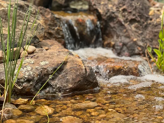 Oklahoma Ponds — photo from the business 2