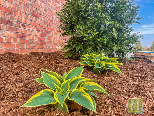 Heartland Landscape Group — photo from the business 6