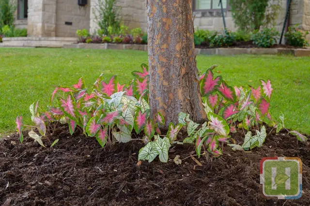 Heartland Landscape Group — photo from the business 9