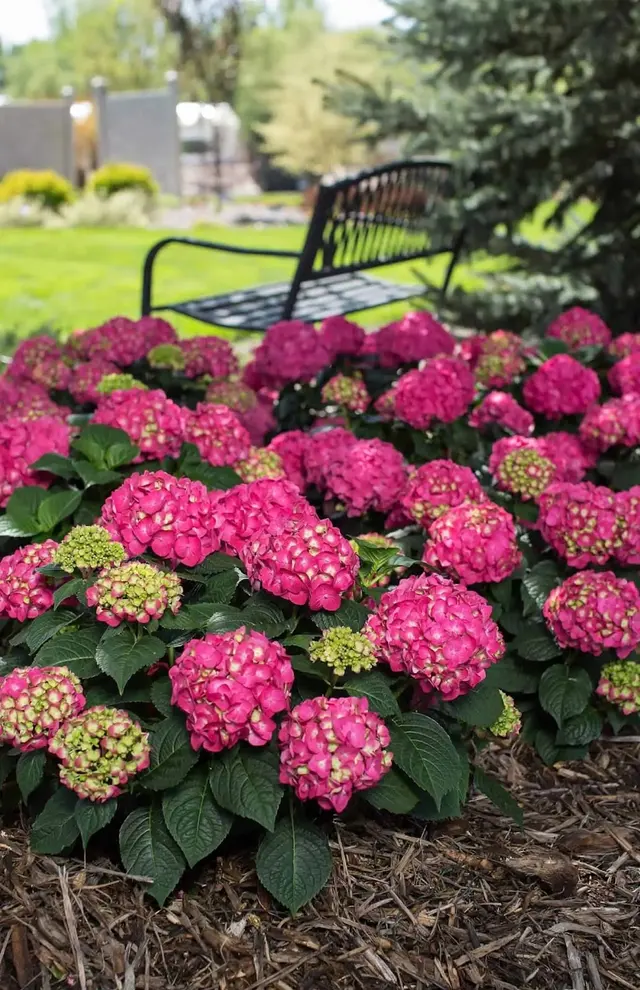 Heartland Landscape Group — photo from the business 10