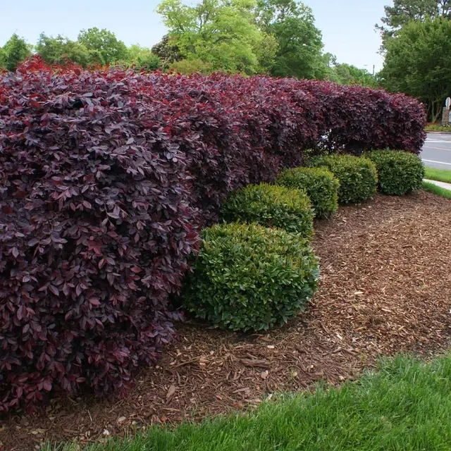 Heartland Landscape Group — photo from the business 4