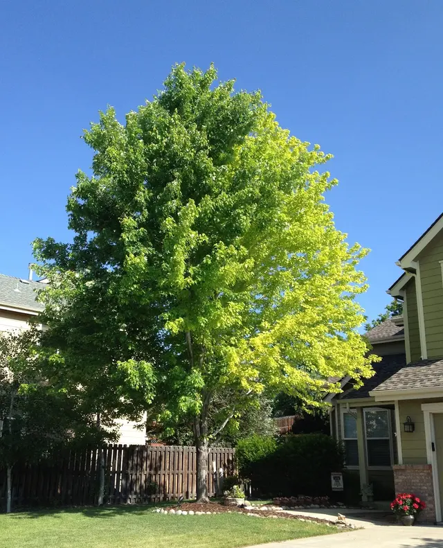 Heartland Landscape Group — photo from the business 5