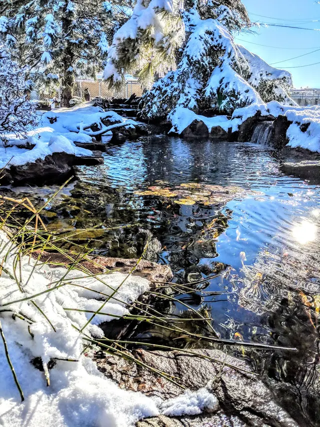 Garden Ponds Unlimited — photo from the business 7