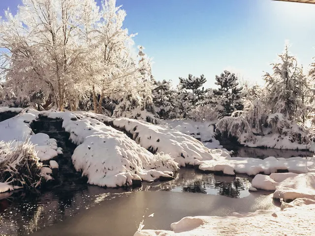 Garden Ponds Unlimited — photo from the business 2