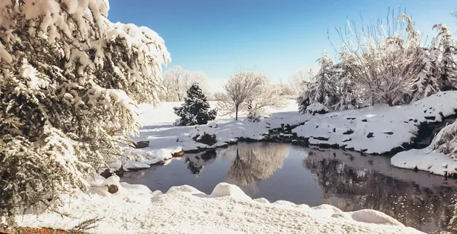 Garden Ponds Unlimited — photo from the business 4