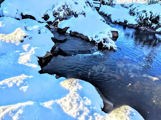 Garden Ponds Unlimited — photo from the business 3