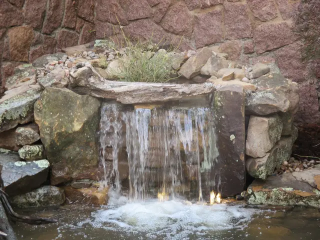 Garden Ponds Unlimited — photo from the business 10