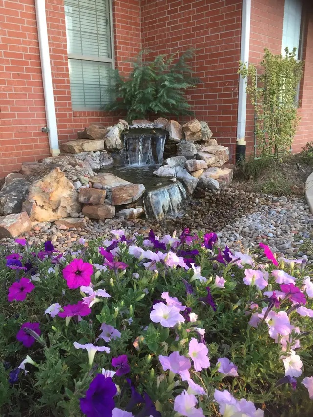 Garden Ponds Unlimited — photo from the business 12