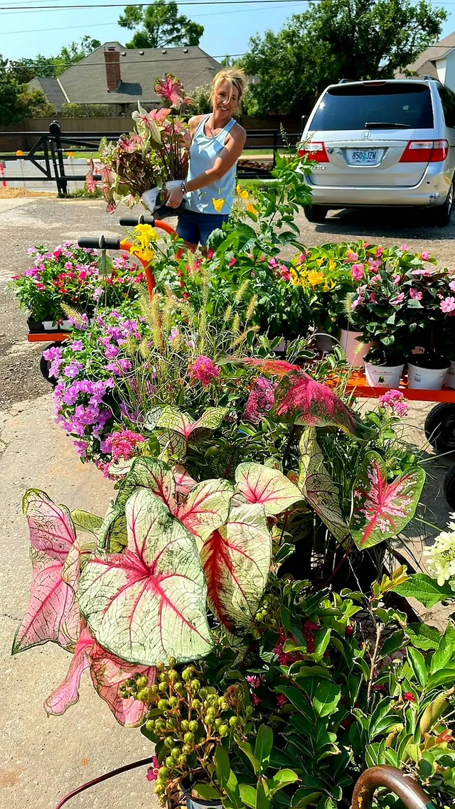 Sunshine's Garden Design, LLC — photo from the business 7
