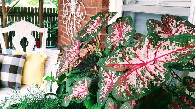 Sunshine's Garden Design, LLC — photo from the business 1