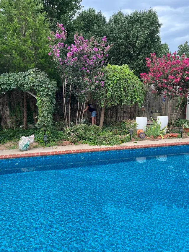 Customer photo of work by Sunshine's Garden Design, LLC, from Kasey Hendrickson's review