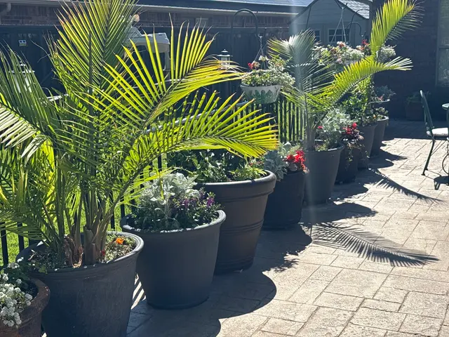 Customer photo of work by Sunshine's Garden Design, LLC, from Pete Brown's review
