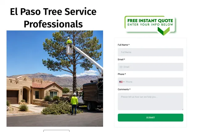 New Emage LLC — photo from the business 10
