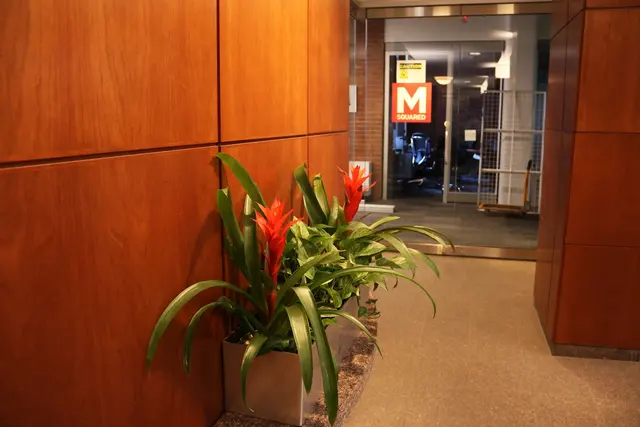Sweeney Merrigan Personal Injury Lawyers — photo from the business 12