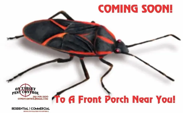 On Target Pest Control — photo from the business 9