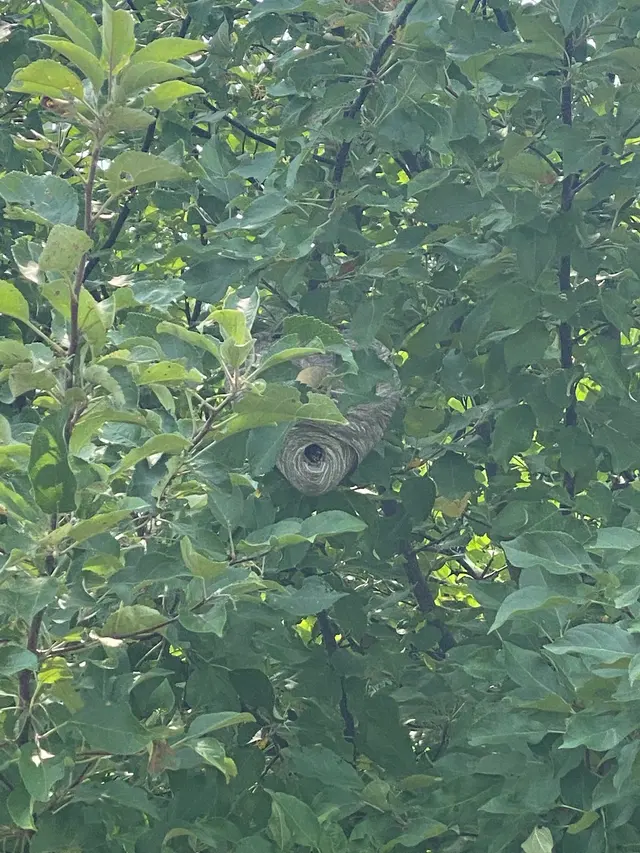 On Target Pest Control — customer photo 4