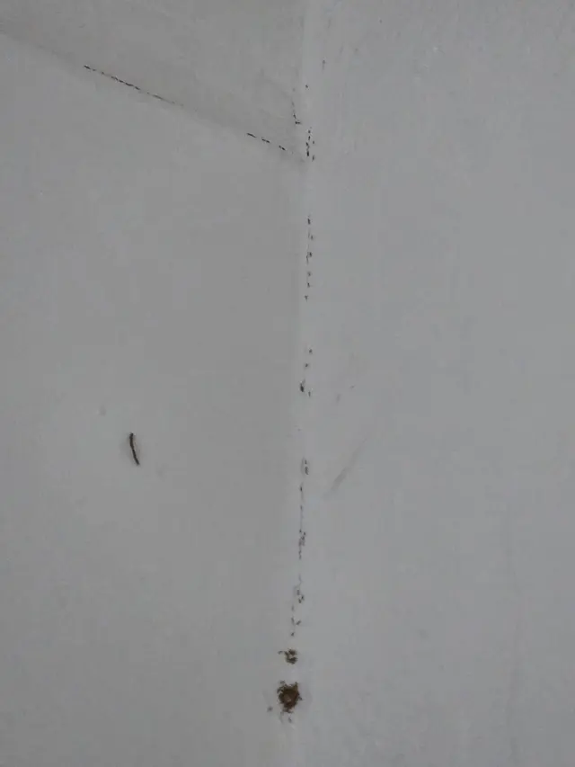 On Target Pest Control — customer photo 3