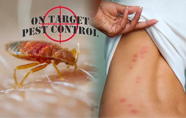On Target Pest Control — photo from the business 8