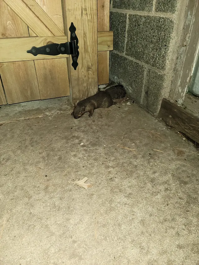 On Target Pest Control — customer photo 2