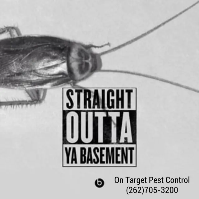On Target Pest Control — photo from the business 10