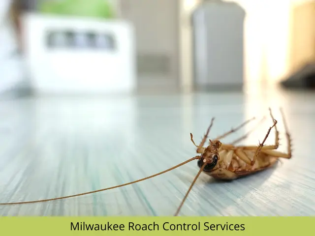 Nexus Pest Solutions — photo from the business 6
