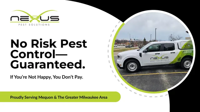 Nexus Pest Solutions — photo from the business 1