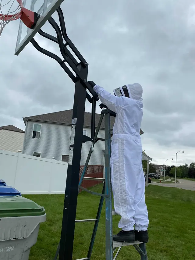The Bug Man and Queen Bee — photo from the business 4