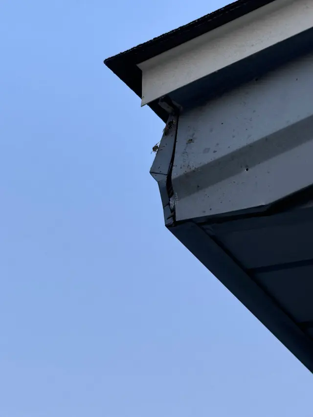 Bug Masters Pest Control — customer photo 4