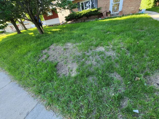 Bug Masters Pest Control — customer photo 6