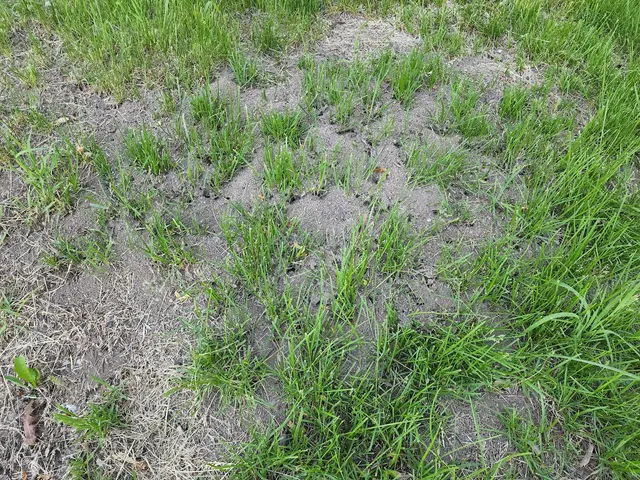 Bug Masters Pest Control — customer photo 3